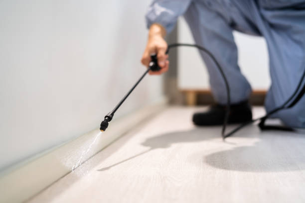 Licensed Termite Control service in North Highlands, CA - Nex Pest Control