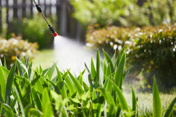 24/7 Emergency Termite Control experts in North Highlands, CA