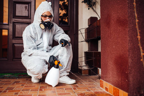 Reliable Termite Control contractor in North Highlands, CA by Nex Pest Control